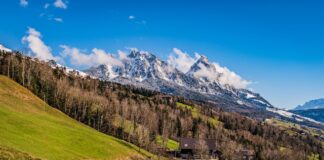 Okolice apartamentów i domków letniskowych