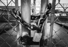 Czym malować ocynkowany płot?