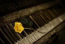 Jaki tani zestaw kluczy nasadowych?