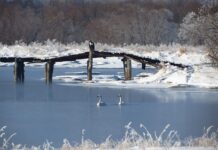 Jak może być objaw pęknięcia przewodu hamulcowego w samochodzie osobowym?
