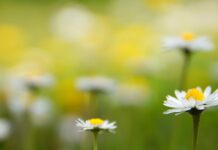 Czego nie wolno świecić?