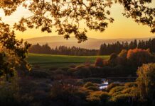 Czy można opalać się w cieniu?