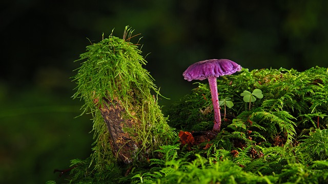 Jaką farbę wybrać? Jaką farbę wybrać?