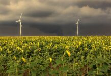 W jakiej kolejności zamontować filtry do wody?