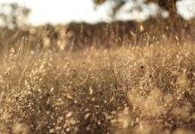 Jakie są rodzaje filtrów do wody? Jakie są rodzaje filtrów do wody?