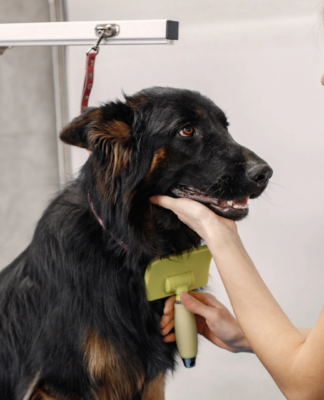 Higiena i pielęgnacja na co dzień