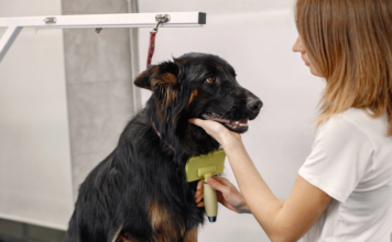 Higiena i pielęgnacja na co dzień